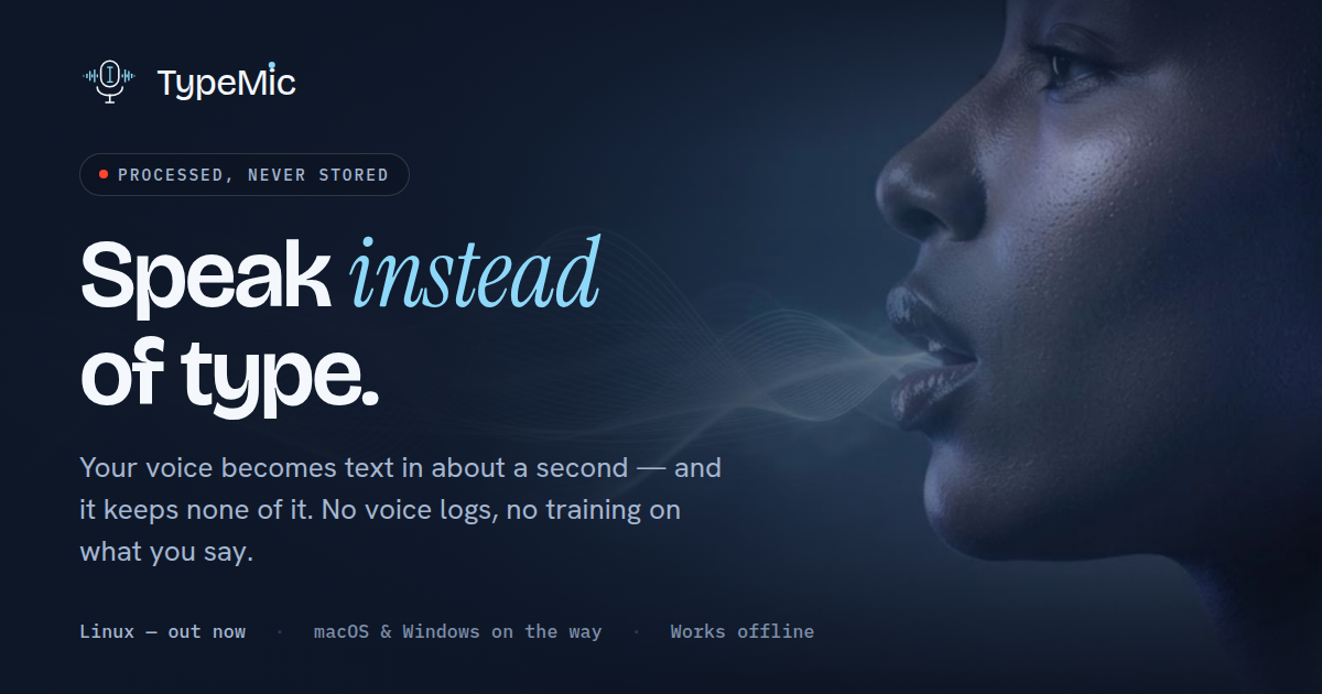 TypeMic product preview